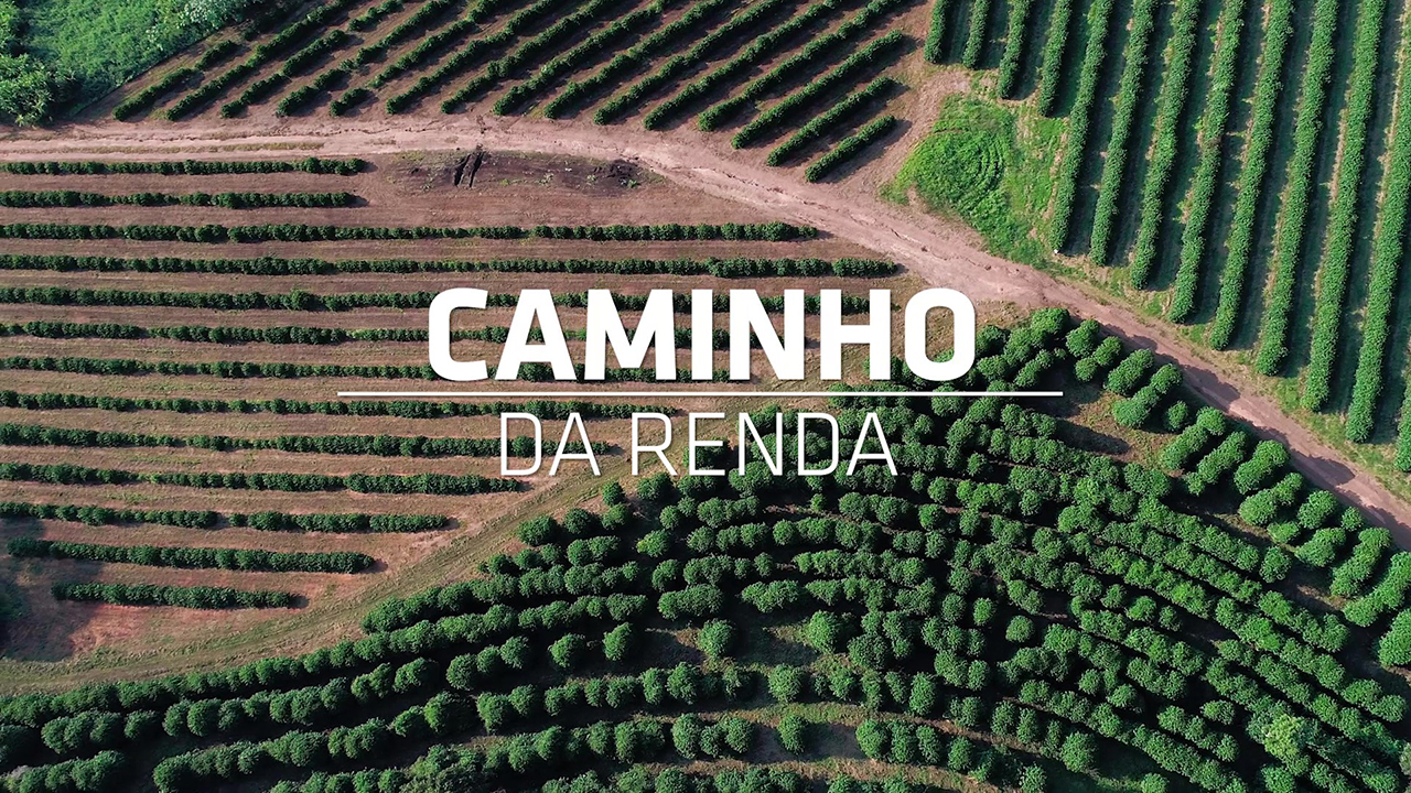Caminho da Renda - A História dos Impostos no Brasil